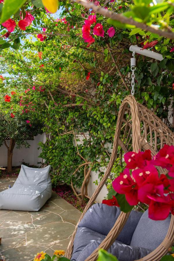 Nefeli'S Guesthouse In Platys Gialos Sifnos Platis Gialos  Esterno foto